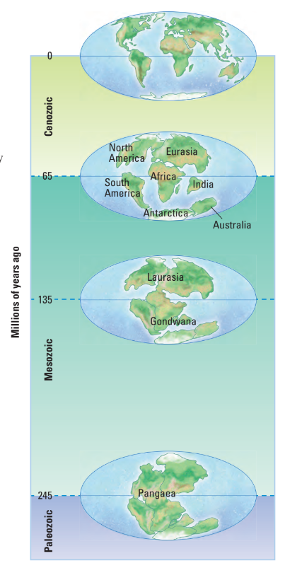 Breakup of Pangaea