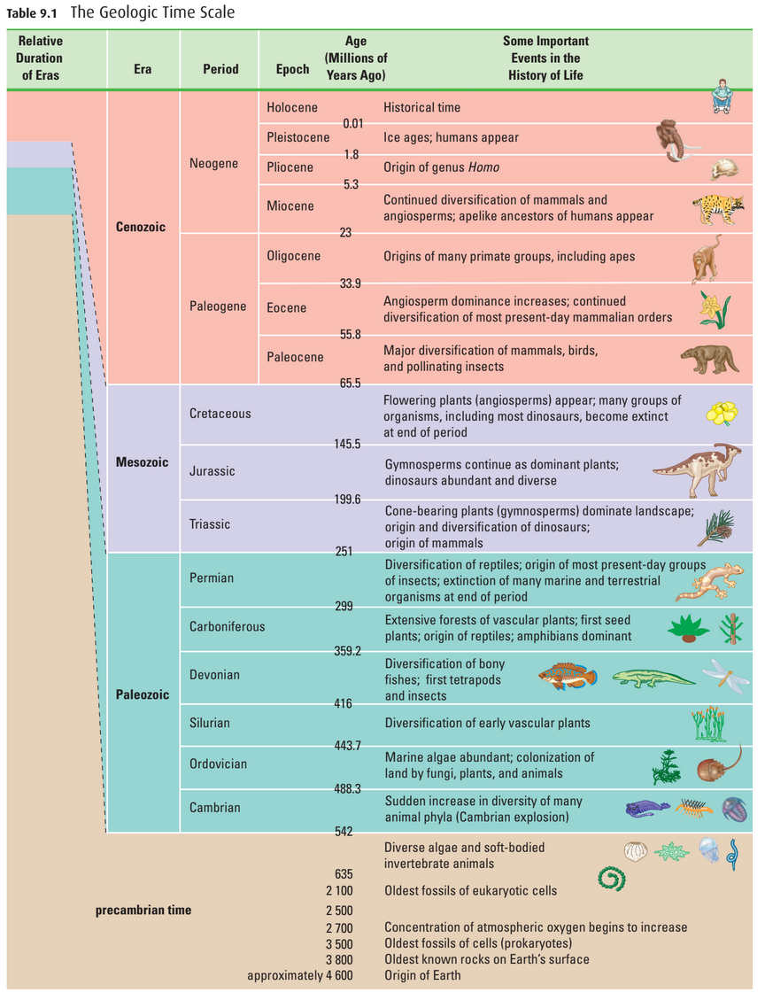 Geologic time scale