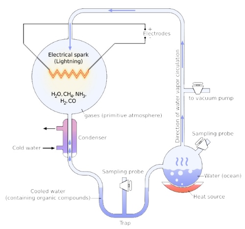 Diagram of Miller-Urey experiment
