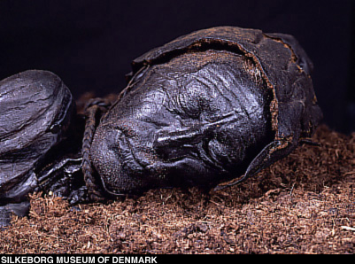 Tollund Man After