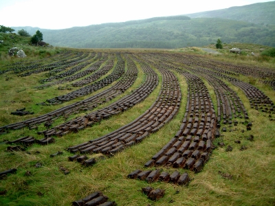 Peat