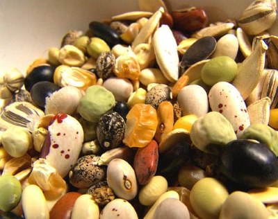 Seeds