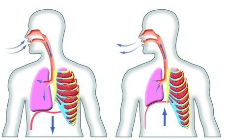 Breathing diagram