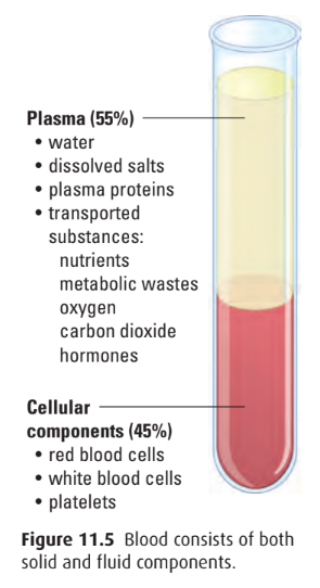 Blood composition