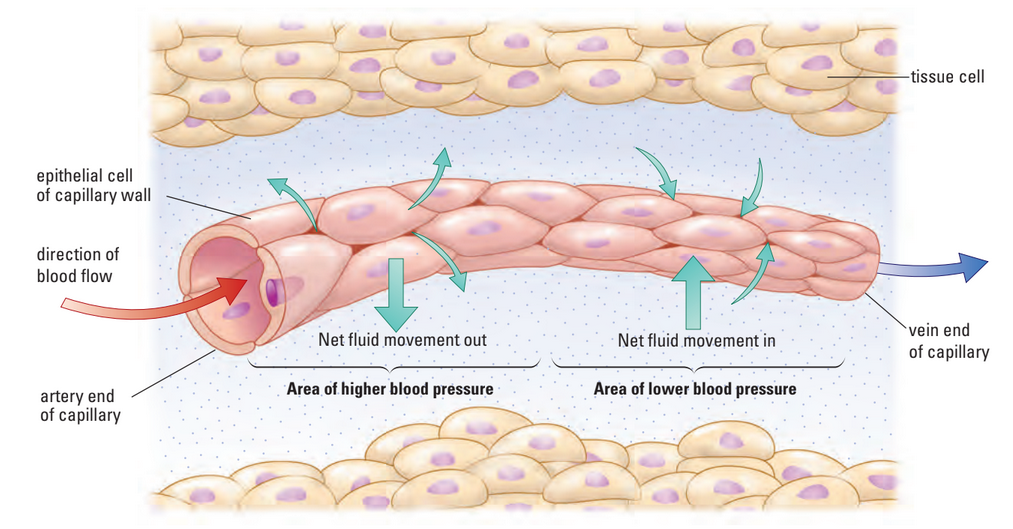 Diagram of diffusion
