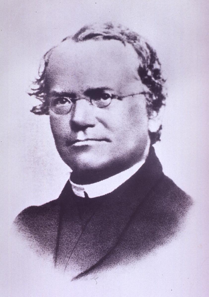 Mendel