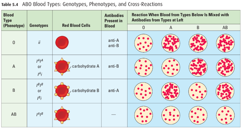 Blood types table