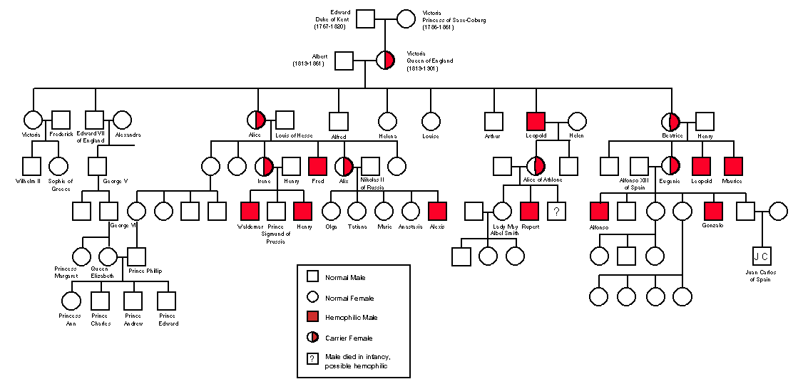 Queen Victoria's pedigree
