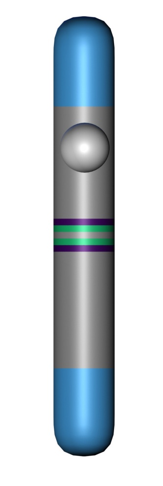 Y chromosome