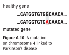 Mutation on chromosome 4 linked to Parkinson's disease